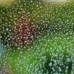 部屋干しの衣類乾燥にも【オススメの除湿機】人気＆売れ筋ランキング・トップ６