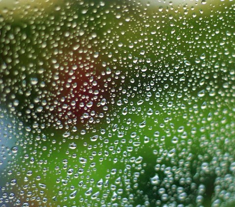 オススメの除湿機