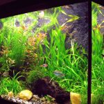 初心者にも便利でオシャレな【オススメの金魚・熱帯魚飼育用水槽セット】人気＆売れ筋ランキング・ベスト６